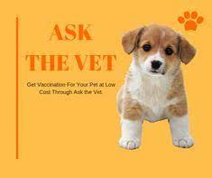 Maybe you would like to learn more about one of these? Mobile Vet