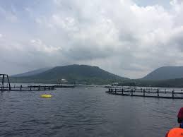 Mega Project Kkp Keramba Jaring Apung Lepas Pantai Kja Offshore Steemit