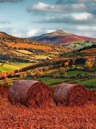 Terre de châteaux et de vallées, le pays de galles est le paradis des amoureux de paysages majestueux. Autumn In Wales Paysage Pays De Galles Photos