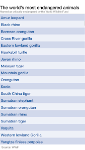 these are the worlds 19 most endangered animals world