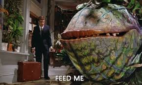 Image result for little shop of horrors meme