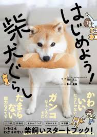 Orthographic borrowing from japanese 柴犬 (shiba inu). æ¥½å¤©ãƒ–ãƒƒã‚¯ã‚¹ ã¯ã˜ã‚ã‚ˆã† æŸ´çŠ¬ãã‚‰ã— è¥¿å·æ–‡äºŒ 9784791628483 æœ¬