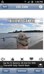 I Belive I Can Touch The Sky Funny Animal Pictures Funny Animals Cute Animals