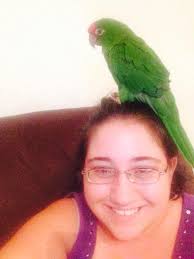 No joke that's all perch.agressive keepers .it's nuts