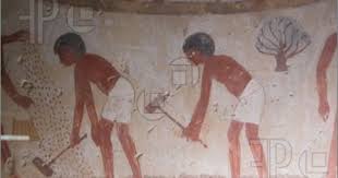 Planting Seeds Egyptian History Ancient Egyptian Paintings Ancient Egyptian