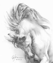 A Beautiful Rendition Charcoal By Afshan Horse Art Drawing Horse Drawings Horse Painting