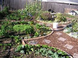 Small Garden Permaculture Design Ideas Garden Design Garden Design Permaculture Design Permaculture Permaculture Gardening