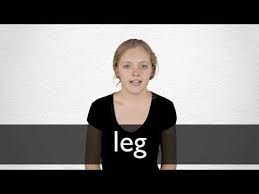 Leg Definition And Meaning Collins English Dictionary A lie has no legs. how to pronounce leg in british english