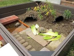 Shop By Category Ebay Tortoise Habitat Turtle Habitat Russian Tortoise