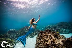 Image result for real mermaid