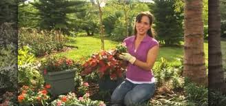 Can't beat that with a stick. How To Choose Plants That Love Shade With Lowe S Gardening Wonderhowto