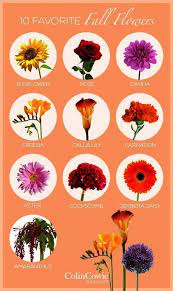 We did not find results for: Cheap And Easy Useful Ideas Wedding Flowers Reception Floating Candles Wedding Flowe Fall Wedding Flowers Wedding Flower Arrangements Floating Candles Wedding