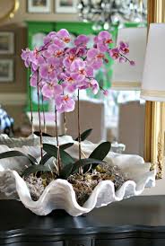 Large clam shell bowl decor with moss. 36 Clam Shell Bowl Ideas Clam Shell Giant Clam Shell Planting Flowers