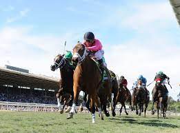 Our facility can host virtually any size event. Santa Anita Park Picks Horse Racing Analysis For June 20 Horseracing Net