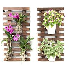 This post published on monday, march 1st, 2021. Amazon Com Wall Planter 2 Pack Wooden Hanging Planters For Indoor Plants Wall Mount Plant Stand Ladder Outdoor Vertical Garden Unique Live Orchid Planter Holder Display Large Wall Decor For Living Room