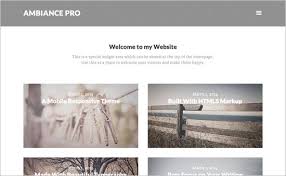 There are so many out there that it can be the coastline theme is one of the better wordpress photography themes available. 23 Best Wordpress Themes For Photographers 2021