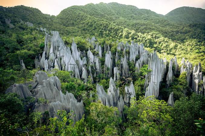 Taman Negara