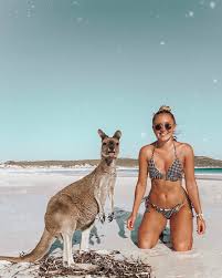 Kangaroos At Lucky Bay Esperance Wa Australia Travel Inspo Wanderlust Travel Instagram Accounts Australia Travel Travel Instagram