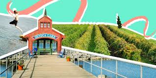 Search for finger lakes area luxury homes with the sotheby's international realty network, your premier resource for finger lakes area homes. Your Guide To The Finger Lakes Where To Eat Shop Stay And Party