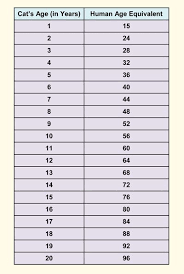 Cat Weights By Age Chart Weight Of 2 Month Old Weighted
