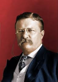 Teddy Roosevelt, my first colorization, any criticisms welcome :  r/Colorization