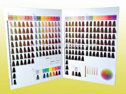 oem manufacturer iso certified hair color chart for professional color chart for hair buy iso hair color chart decorating color chart asian hair