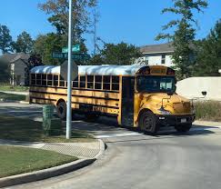 Image result for School Bus Yellow 2009 Fleet