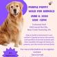 2nd Annual Purple Poppy Walk