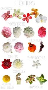 Pin By Marisa Flint On Wedding Flowers Flower Chart Flower Arrangements Different Types Of Flowers