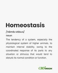 A Balanced Body Is A Healthy Body But If Any System In The Body Is Not Functioning Properly Homeostasis Is Disrupted And Healt Cbd Natural Relief No Response