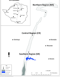 Image result for Jamesbrittenia fodina × huillana