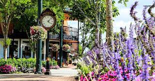Eastern Shore Delight Fairhope Alabama The Shoofly Magazine