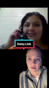 Discover Daisy Link: A Miami Insight