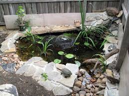 Contoh Desain Tempat Memelihara Kura Air Turtle Turtle Pond Water Features In The Garden Ponds Backyard