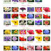 With the cooler weather, the selection of wedding flowers is somewhat limited. 1