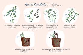 Herbs grown for seeds as the seed pods change in color from green to brown to gray but before they shatter. How To Dry And Store Your Fresh Garden Herbs