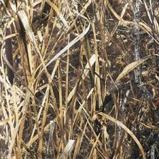 Bgftrst Camo Pattern Buyer S Guide Camo Patterns Pattern Duck Hunting