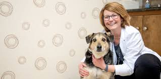 Error occurred, please try again later. Vets In Greensboro Nc Greensboro Veterinarians And Animal Hospital