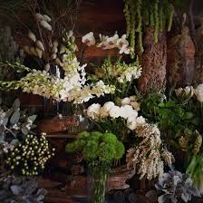 Maybe you would like to learn more about one of these? Best Online Florist Brisbane Florist Store In Woolloongabba Qld Stalks Stems