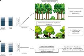 Temperate forest plants are associated ...