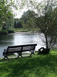 Park Bench At Christchurch Dorset Bancs De Parc Paysage Banc Jardin