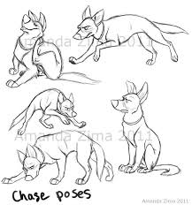 Art By Amanda Zima Blog Website Www Doodlemates Tumblr Com Character Design References Https Animal Drawings Animal Sketches Animal Illustration