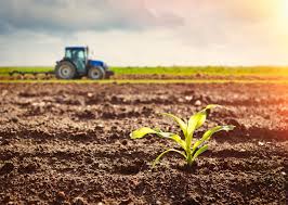 Agriculture RDC
