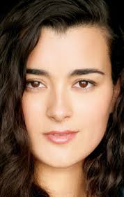 Коте де Пабло (Cote de Pablo): фильмы, биография, семья, фильмография —  Кинопоиск