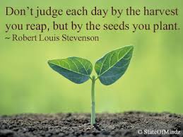 Image result for sowing a seed