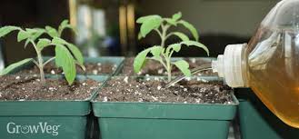 How to fertilize your garden naturally. Making Homemade Liquid Fertilizers