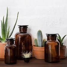 Amber Brown Glass Apothecary Jar Amber Glass Jars Glass Apothecary Jars Apothecary Jars