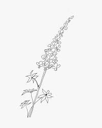 Another free still life for beginners step by step drawing video tutorial. Bluebonnets Drawing Huge Freebie Download For Powerpoint Line Art Hd Png Download Transparent Png Image Pngitem