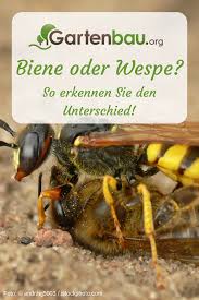 Pin Auf Garten Gruppenboard