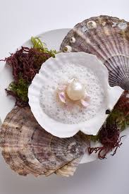 鹽之華法式餐廳 fleur de sel restaurant, taichung, taiwan. æ'˜æ˜Ÿé‚£ä¸€å¤© é¹½ä¹‹è¯çš„é»Žä¿žå›